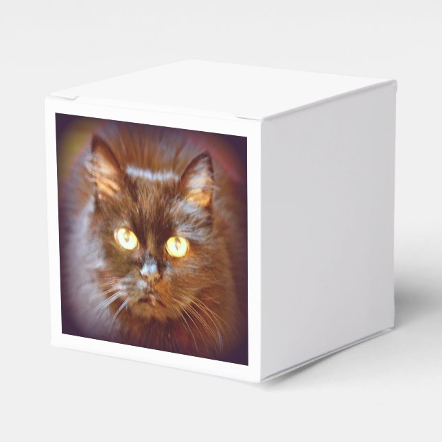 black cat favour box (Front Side)