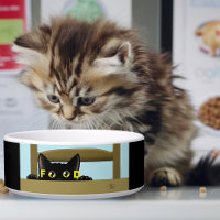 Black Cat Food Funny