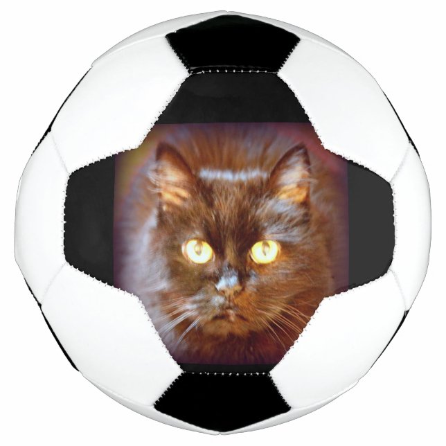 black cat football (Front)