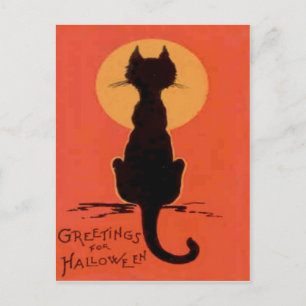 Black Cat Full Moon Yellow Orange Postcard