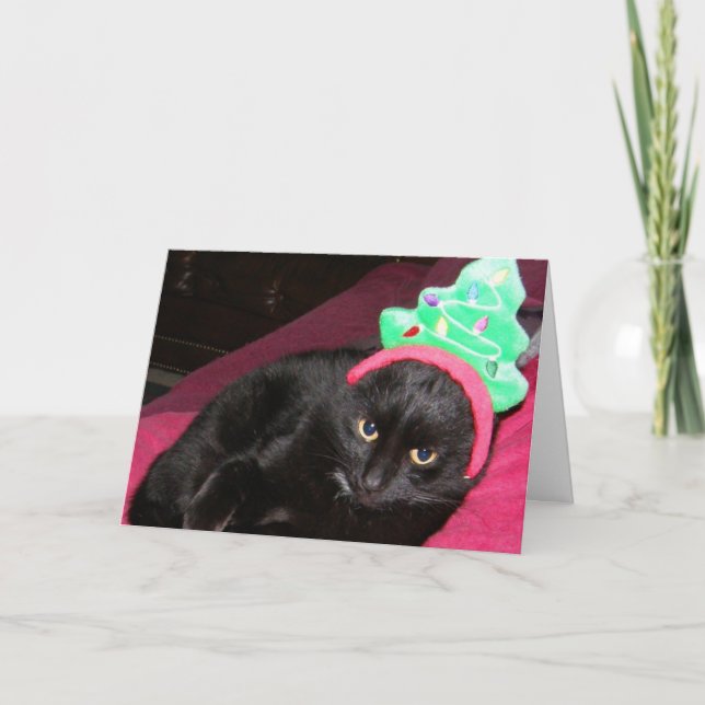 Black Cat Funny Holiday Card Bah Humbug (Front)