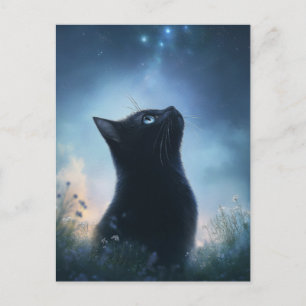 Black Cat Gazing at Star Constellation Night Sky Postcard