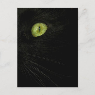 Black Cat, Green Eye postcard