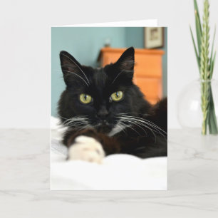 Black Cat Greeting Card