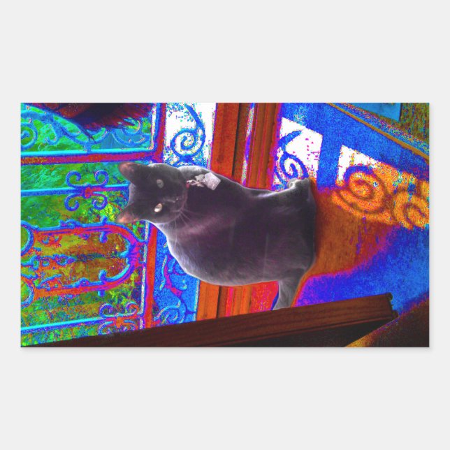 Black Cat Guards a Psychedelic Doorway Rectangular Sticker (Front)