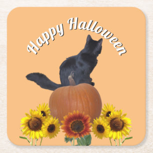 Black Cat Halloween Sunflowers Pumpkins Orange  Square Paper Coaster