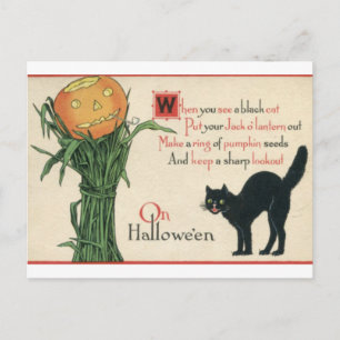 Black Cat Halloween Vintage Poem Postcard