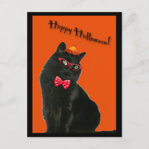 Black Cat Happy Halloween Postcard