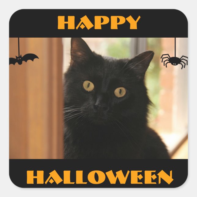 Black Cat Happy Halloween Stickers (Front)