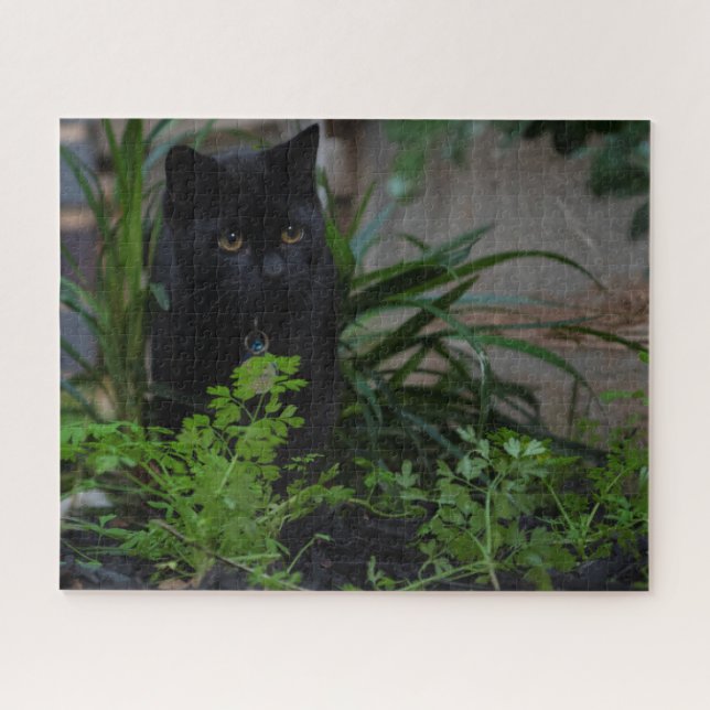 Black Cat Hidden in the Plants, 520 pieces Jigsaw Puzzle (Horizontal)