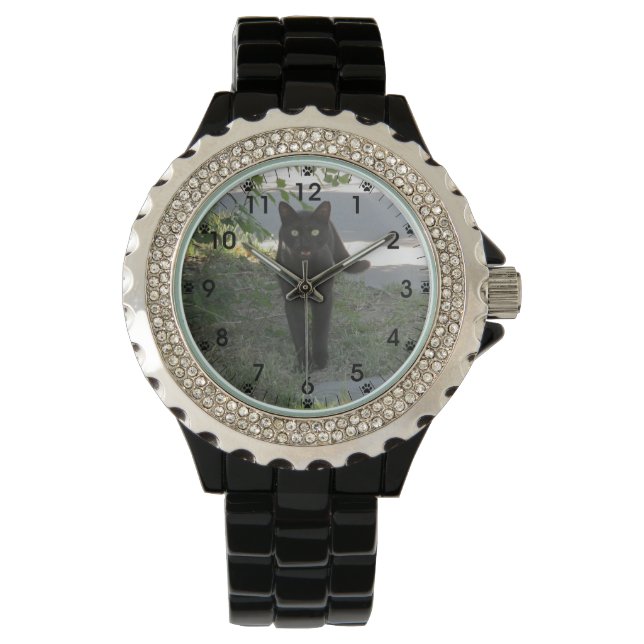 Black Cat in a Garden Watch (Front)