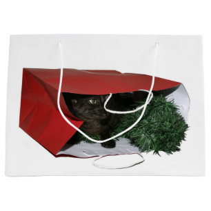 Black cat in a gift bag Christmas