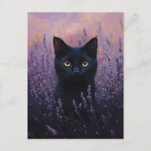 Black Cat in a Lavender Field Illustration Postcard