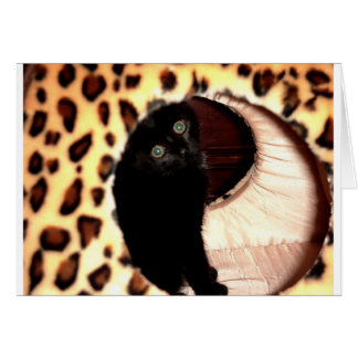 Black Cat in a leopard hooch