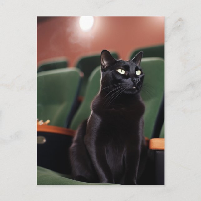Black Cat in a Theatre Postcard (Front)