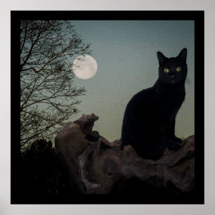 Black Cat in a Tree in Front of a Full Moon Poster