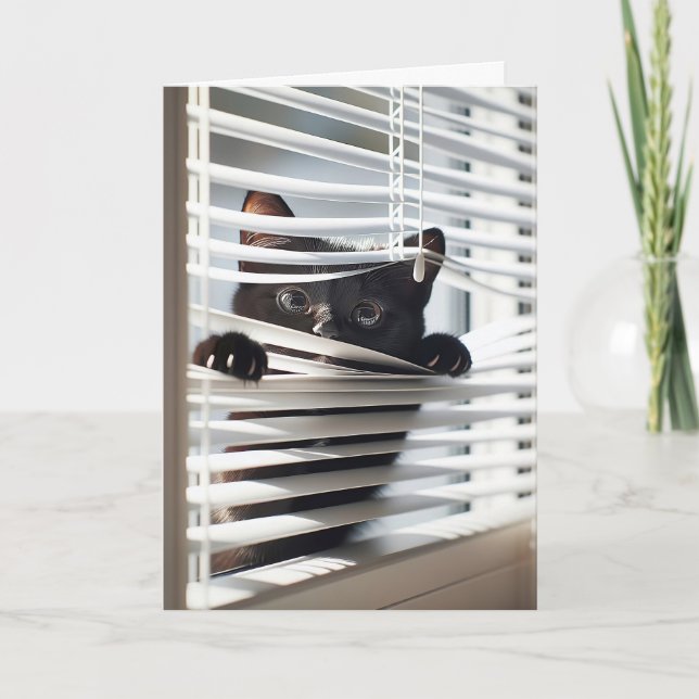 Black Cat In Blinds For Birthday Card (Front)