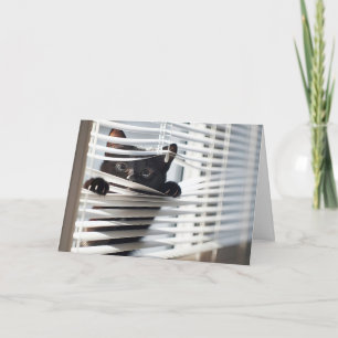 Black Cat In Blinds Thinking of You Card