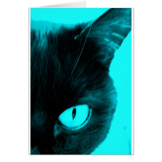 Black Cat in Blue