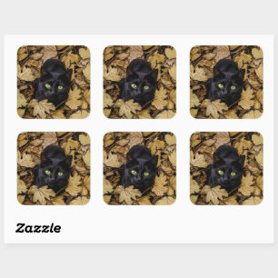 Black cat in fall leaves square sticker
