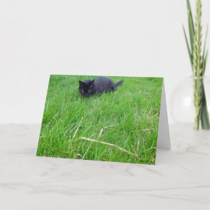 Black Cat In Grass Birthday Card