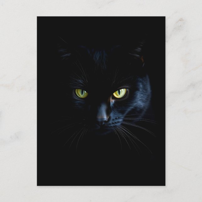 Black Cat in the black Night Postcard (Front)