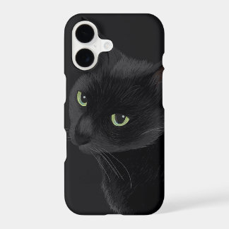 Black cat in the dark