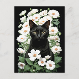 black cat in white flowers (update) Postcard