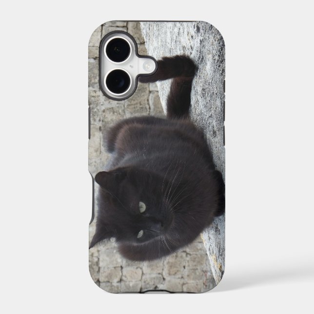 Black Cat iPhone 5 case-mate (Back)