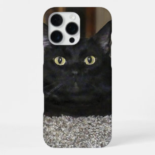 Black Cat iPhone 16 Pro Max Case