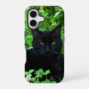 Black Cat iPhone / iPad case