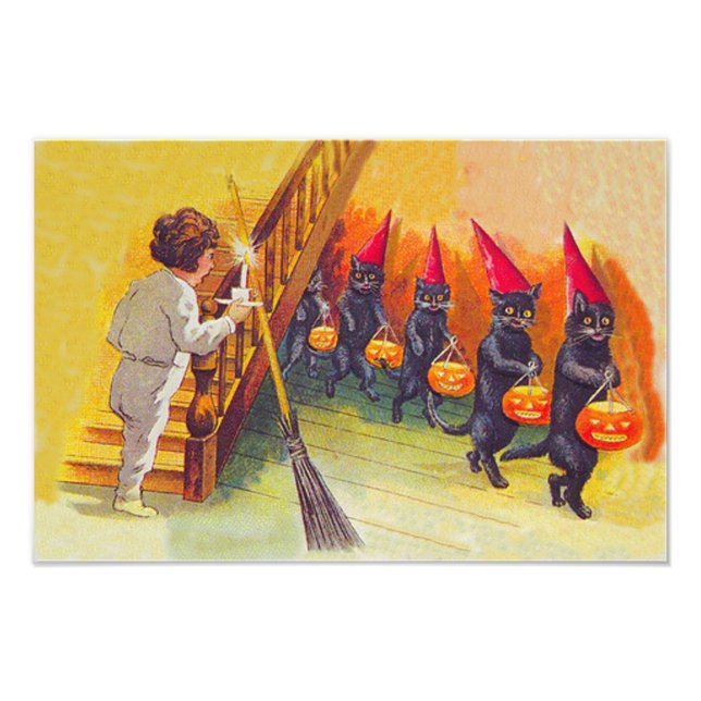 Black Cat Jack O Lanter Pumpkin Broom Photo Print (Front)