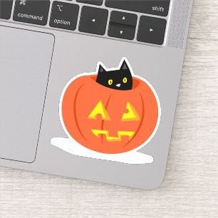 Black Cat Jack O Lantern Halloween Illustration