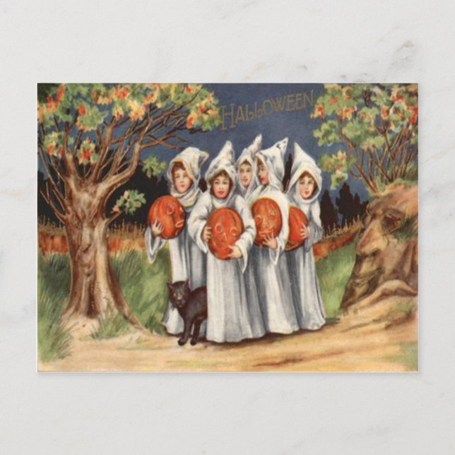 Black Cat Jack O Lantern Pumpkin Ghost Postcard (Front)