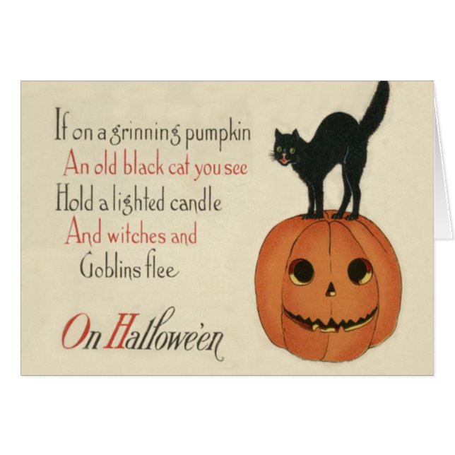 Black Cat Jack O Lantern Pumpkin Orange (Front Horizontal)