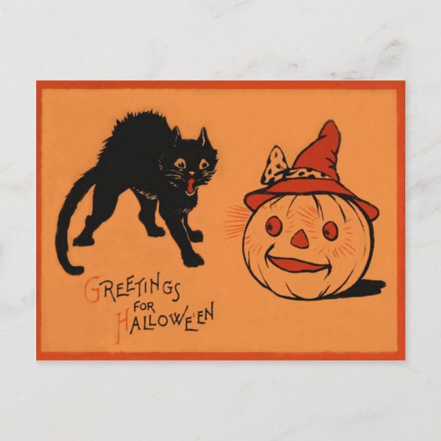 Black Cat Jack O Lantern Pumpkin Witch's Hat Postcard (Front)