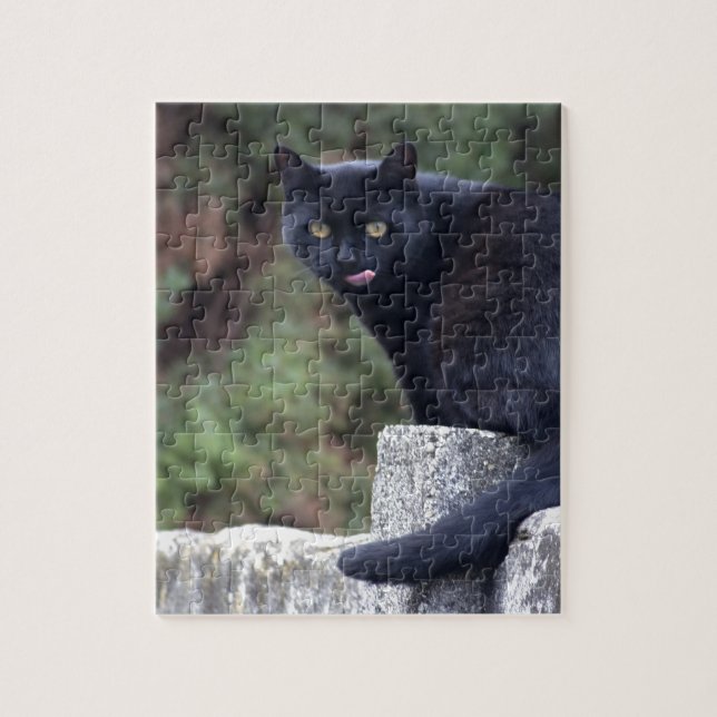 Black Cat Jigsaw Puzzle (Vertical)