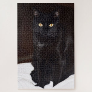 Black Cat Jigsaw Puzzle