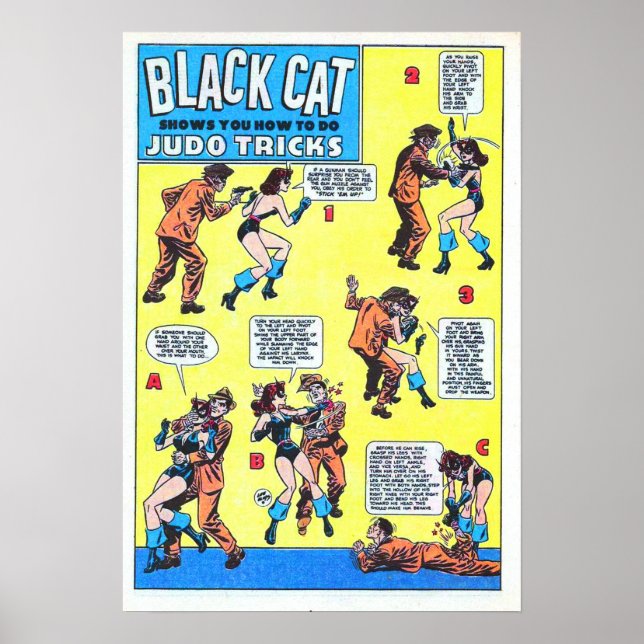 Black Cat Judo Tricks Poster (Front)