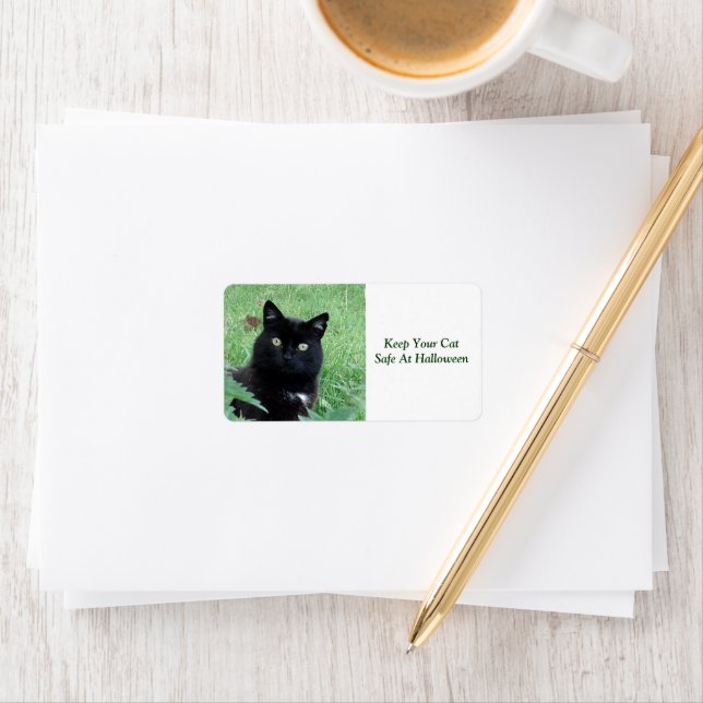 Black Cat - Keep Your Cat Safe Label (Insitu)