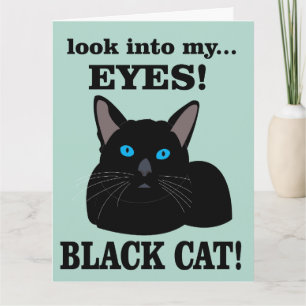 Black Cat Kitty Birthday Black Cat Card