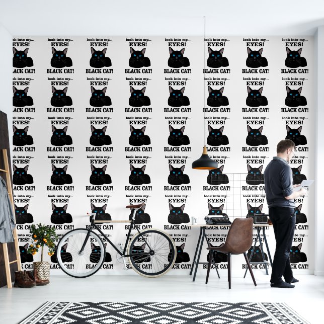 Black Cat Kitty Pet Animal Black Cat Wallpaper (Living Room)