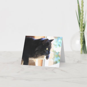 Black Cat looking out window, blank inside Card