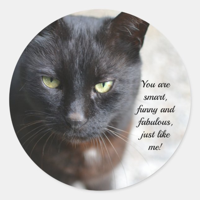Black Cat Lover Image with Motivational Quote Classic Round Sticker (Front)