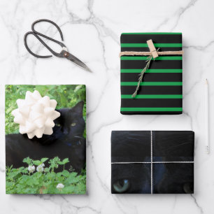 Black Cat Lovers Gift or Craft Wrapping Paper Sheet