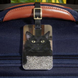 Black Cat Luggage Tag
