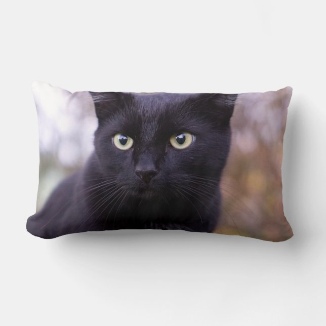 black cat lumbar cushion (Front)