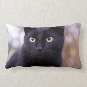 black cat lumbar cushion