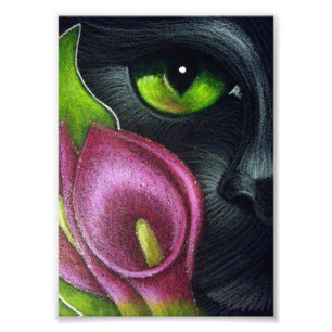 BLACK CAT MAGENTA CALLA LILY FLOWERS PRINT