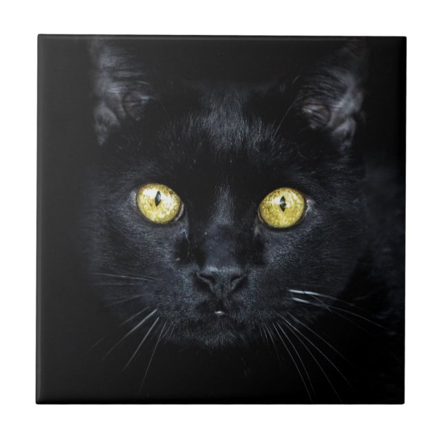 Black Cat, Magic Eyes Tile (Front)